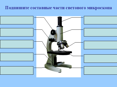 Тест по строению микроскопа 5 класс