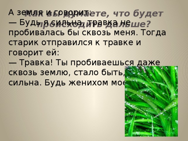 А земля и говорит: — Будь я сильна, травка не пробивалась бы сквозь меня. Тогда старик отправился к травке и говорит ей: — Травка! Ты пробиваешься даже сквозь землю, стало быть, ты очень сильна. Будь женихом моей дочери! Как вы думаете, что будет происходить дальше?