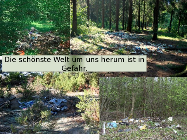 Die schönste Welt um uns herum ist in Gefahr.