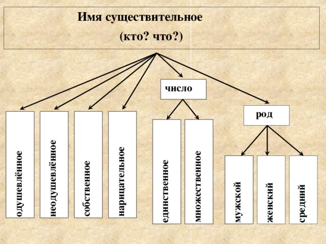 Среднее имя. Существительное и его признаки. Существительное все свойства.