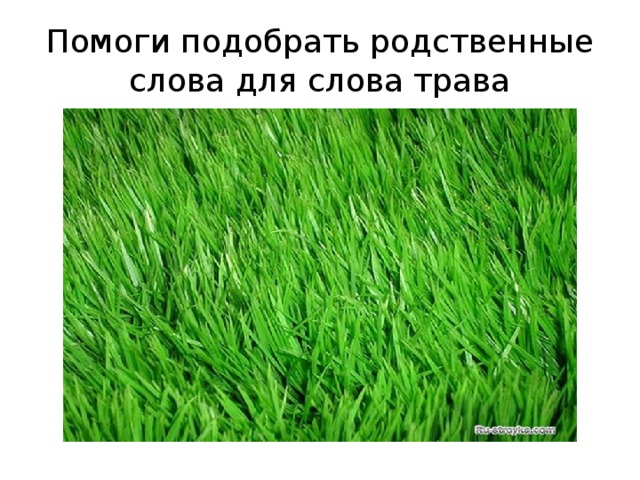 Родственные слова трава. Текст в траве. Разделить слово трава