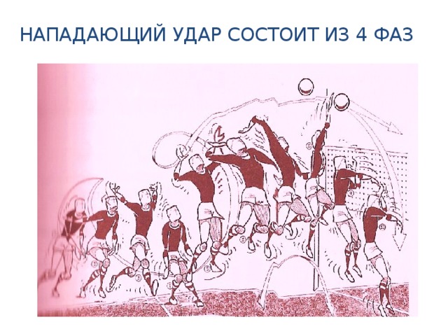 Четыре удара в волейболе. Нападающий удар в волейболе. Прямой нападающий удар нападающий удар в волейболе. Нападающий удар в волейболе без прыжка. Техника нападающего удара в волейболе.