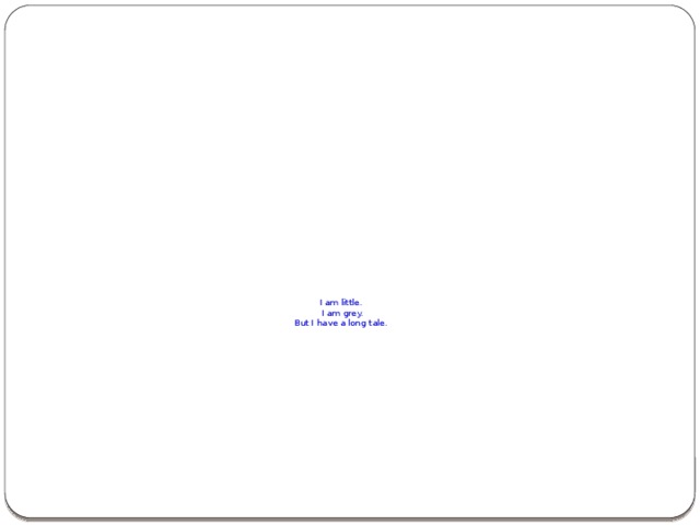 I am little.  I am grey.  But I have a long tale.