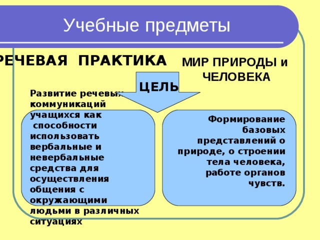 Предмет речевые практики. Предмет речевые практики. Учебники для детей с умственной отсталостью. Горбацевич речевая практика. Язык и речевая практика.