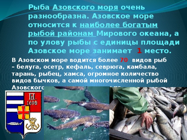 Какая рыба водится в азовском море список фото с названиями