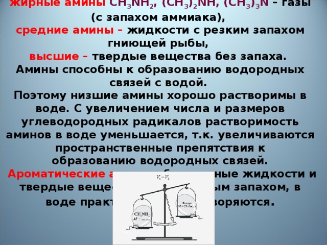 Если пот пахнет аммиаком. Низшие средние и высшие Амины. Средние Амины. Высшие Амины.