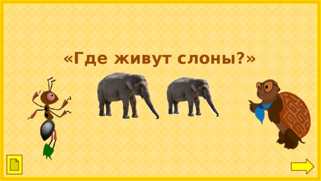 «Где живут слоны?»