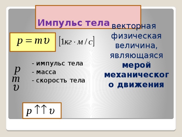 Тел 10 класс