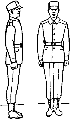 Стать смирно. Солдат стойка смирно. Строевая стойка принимается по команде. Солдат по команде смирно. Строевая стойка рисунок.