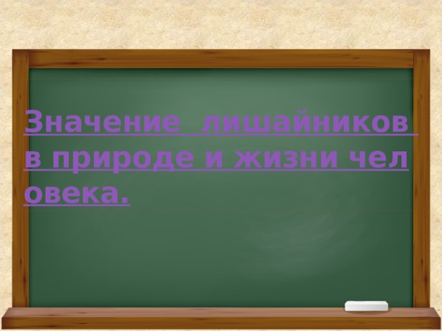 Значение  лишайников в природе и жизни человека.