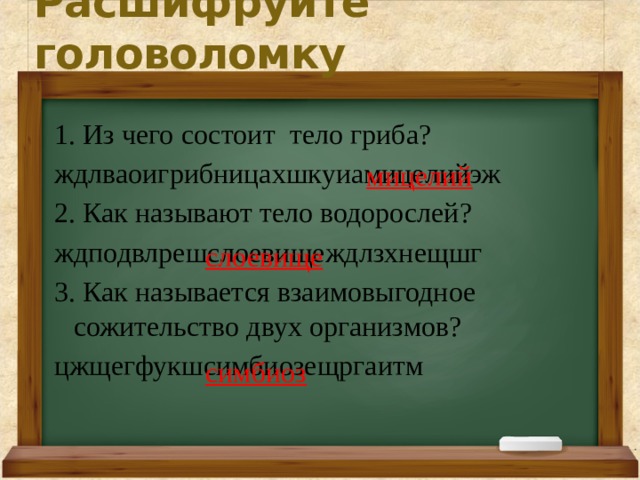 Расшифруйте головоломку 1. Из чего состоит тело гриба? ждлваоигрибницахшкуиамицелийэж 2.  Как называют тело водорослей? ждподвлрешслоевищеждлзхнещшг 3. Как называется взаимовыгодное сожительство двух организмов? цжщегфукшсимбиозещргаитм мицелий слоевище симбиоз