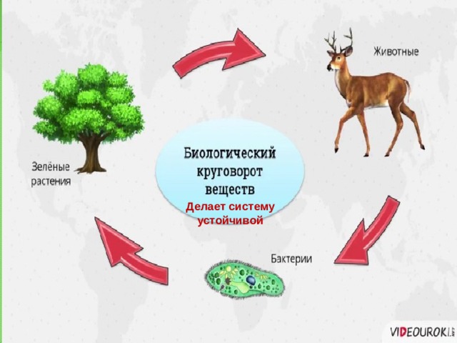 Делает систему устойчивой