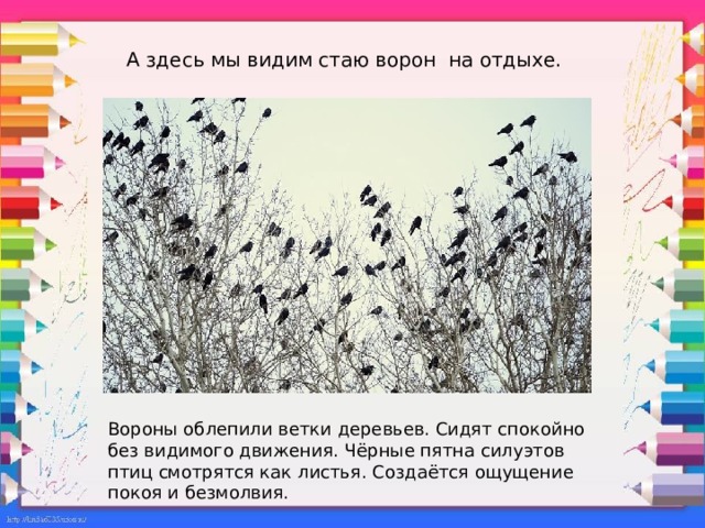 А здесь мы видим стаю ворон на отдыхе.   Вороны облепили ветки деревьев. Сидят спокойно без видимого движения. Чёрные пятна силуэтов птиц смотрятся как листья. Создаётся ощущение покоя и безмолвия.