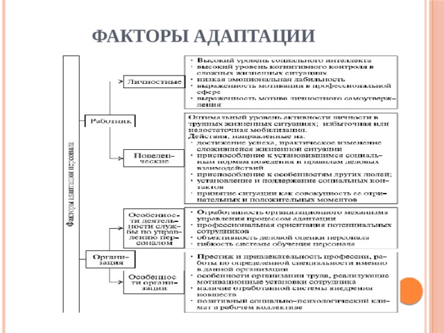 Типы адаптации. Типы адаптации. Какие есть виды адаптации. Виды адаптации. Выберите виды адаптации.