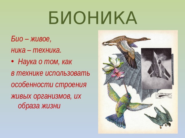 БИОНИКА Био – живое, ника – техника. Наука о том, как в технике использовать особенности строения живых организмов, их образа жизни