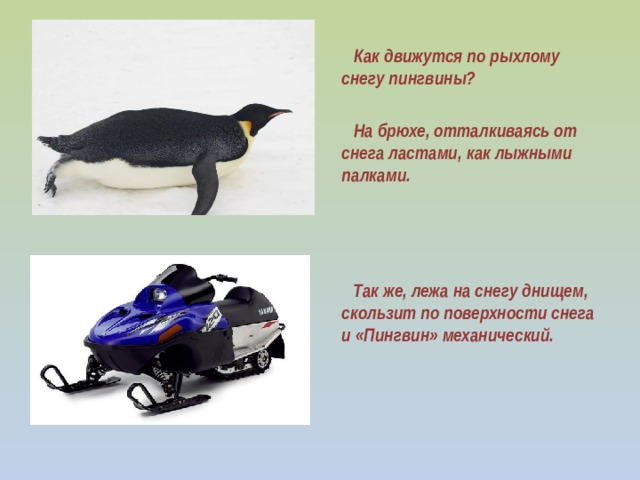 Как движутся по рыхлому снегу пингвины?   На брюхе, отталкиваясь от снега ластами, как лыжными палками.      Так же, лежа на снегу днищем, скользит по поверхности снега и «Пингвин» механический.