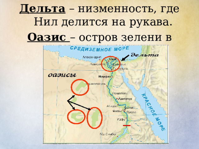 Дельта – низменность, где Нил делится на рукава. Оазис – остров зелени в пустыне .