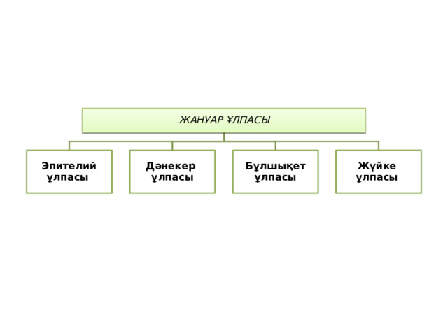 ЖАНУАР ҰЛПАСЫ Эпителий ұлпасы  Дәнекер ұлпасы Бұлшықет ұлпасы Жүйке ұлпасы