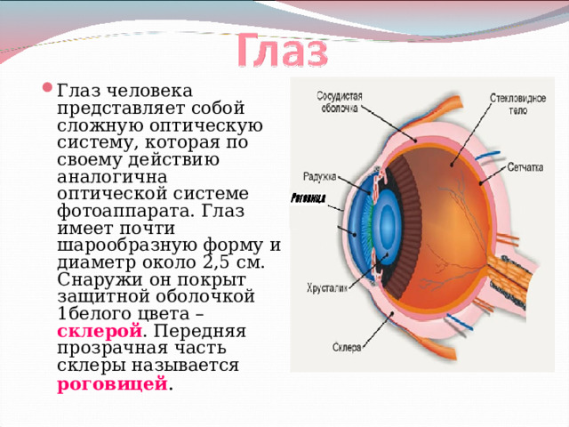 Презентация глаз